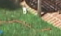 ;lkjhgf - Copy.png