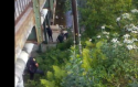 Divers by bridge.png