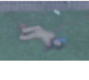 Pic1.png