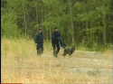 Search dog.png