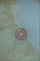 apple.png