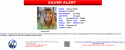 FDLE Silver Alert Nancy Urello.png