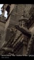IMG_7770.jpeg