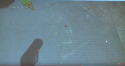 bleach flip flops 3.png