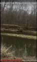 creekside2.png