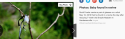 Screen Shot 2019-05-11 at 4.06.23 AM.png
