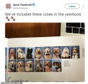 E6DB5961-02CE-4972-976D-C7621F850B0E.jpeg E6DB5961-02CE-4972-976D-C7621F850B0E.jpeg