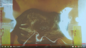 bra evidence bag.png