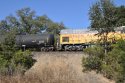 ML train.jpg