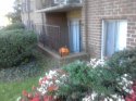 Patio.jpg