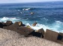 IMG_0001.JPG