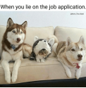 20190626_183334.png