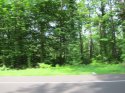 IMG_5424.JPG