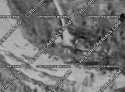 House at end of Girard trail 1960.png