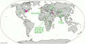 globalterror2.gif