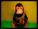 upload_2019-8-10_8-36-38.gif