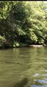 87A8B191-90B9-4C9A-B552-94C05EB9E3BD.jpeg