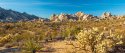 mojave9.jpg