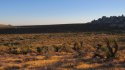 Mojave Missing 021.JPG
