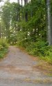 IMG_20190907_175658594.jpg