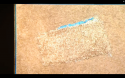 Screen Shot 2019-09-09 at 11.43.05 AM.png
