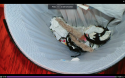 Screen Shot 2019-09-09 at 11.48.07 AM.png