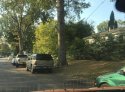 IMG_1795.JPG