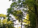 IMG_20190913_181753164.jpg