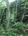 655BFC85-677F-4743-B2D2-0C727895F14E.jpeg