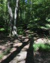 17364787-4B22-46B8-BD0C-2D034EE94F09.jpeg