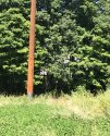 1591E569-A504-41A2-B399-0DE4DD339D6B.jpeg