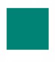 aer lingus green.jpg