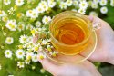 chamomile-tea.jpg