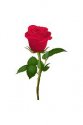 upload_2019-10-12_10-56-13.jpeg