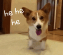 Hehehe.gif
