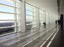 meier4.jpg