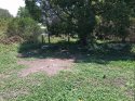 1374483B-CEE6-4F10-B350-8CBBCB5B9893.jpeg