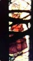 Screen Shot 2020-01-13 at 10.56.36 PM.png