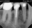 D4566064-1B95-4B83-89CF-08AFB6F451EE.jpeg