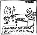media---give-the-dingo-10K.jpg