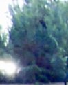 98170F1A-78C0-465A-B173-292199D1CEEB.jpeg