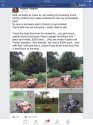 FB_IMG_1580845843032.jpg