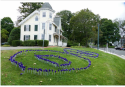 pinwheels.png