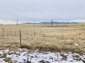 C61CB399-CCB2-4312-85FC-8E0261E74F41.jpeg