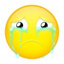 cryingEmoji.jpg