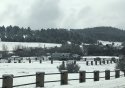 F57059E0-6B09-41FE-BB2F-1B57D8D504AA.jpeg