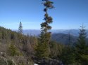 IMG_20200222_150139991_50.jpg