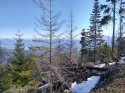 IMG_20200222_150150891_HDR_50.jpg