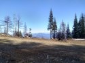IMG_20200222_150448788_HDR_50.jpg