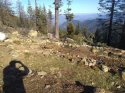 IMG_20200222_152148136_50.jpg